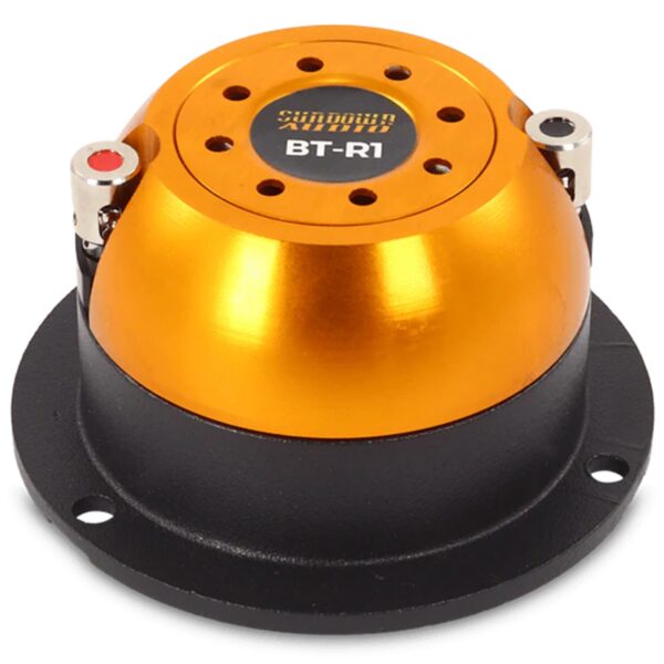 PI-BF-SD-TW-S-BT1R4