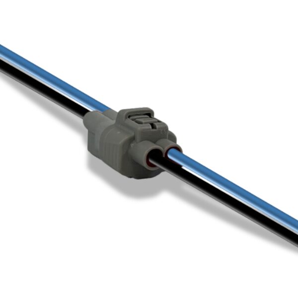 PI-BR-CN0021